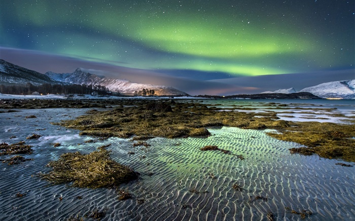 Norway, northern lights, night, stars, sea, coast, winter, snow Wallpapers Pictures Photos Images