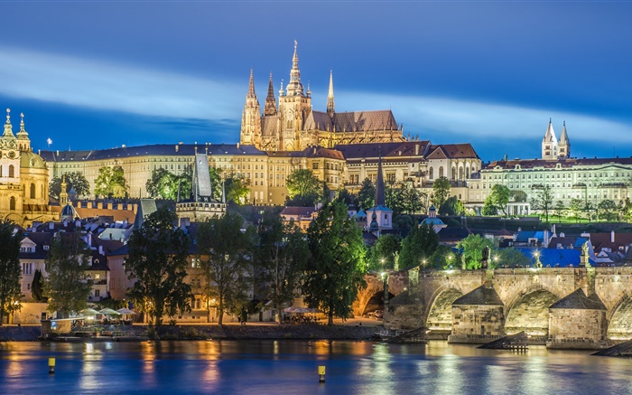 Prague, Czech Republic, river, bridge, Cathedral of St. Vitus, night, lights Wallpapers Pictures Photos Images