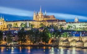 Prague, Czech Republic, river, bridge, Cathedral of St. Vitus, night, lights