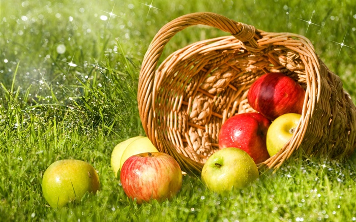 Red and green apples, fruit, basket, grass Wallpapers Pictures Photos Images