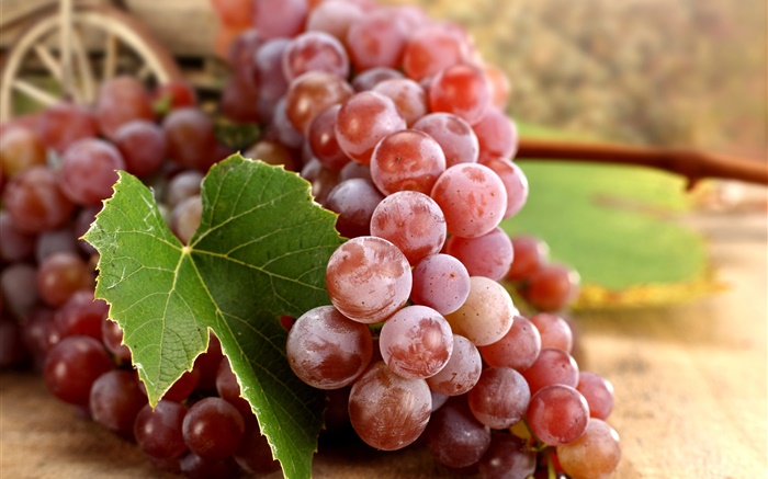 Red grapes, leaf, autumn Wallpapers Pictures Photos Images