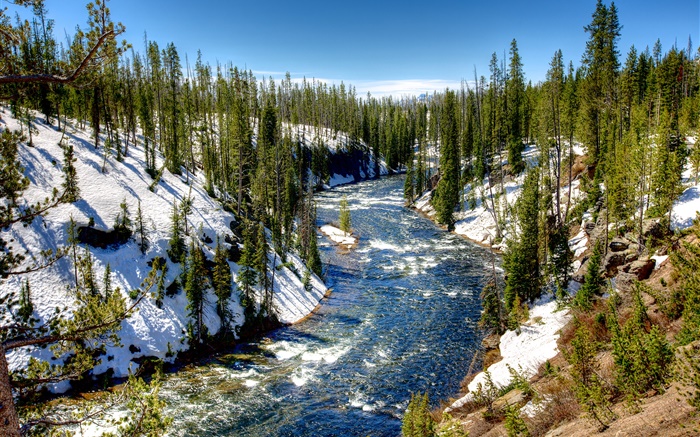 Yellowstone National Park, USA, forest, trees, river, snow, winter Wallpapers Pictures Photos Images