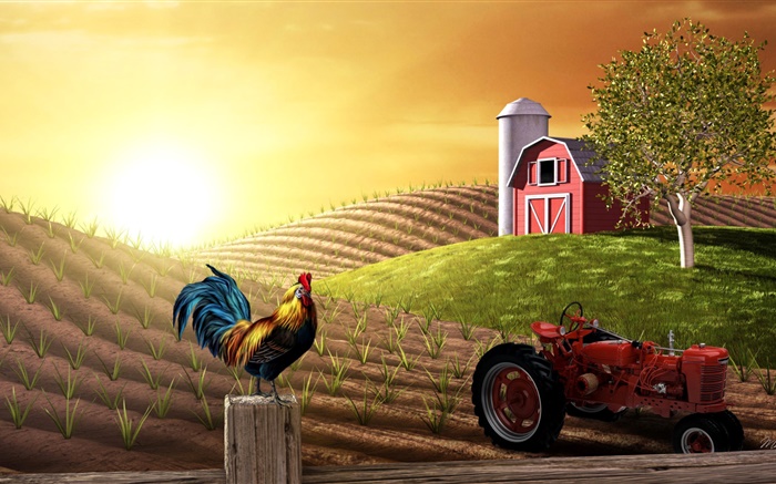 3D pictures, farm, field, tractor, cock, house, sun Wallpapers Pictures Photos Images