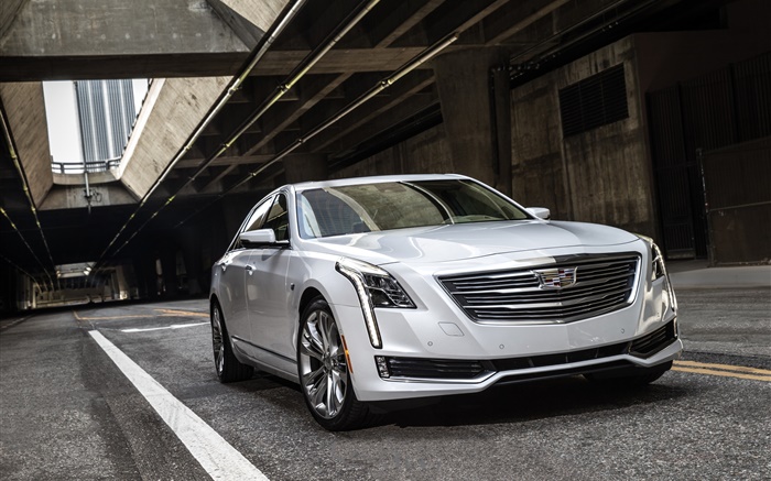 Cadillac CT6 white car front view Wallpapers Pictures Photos Images