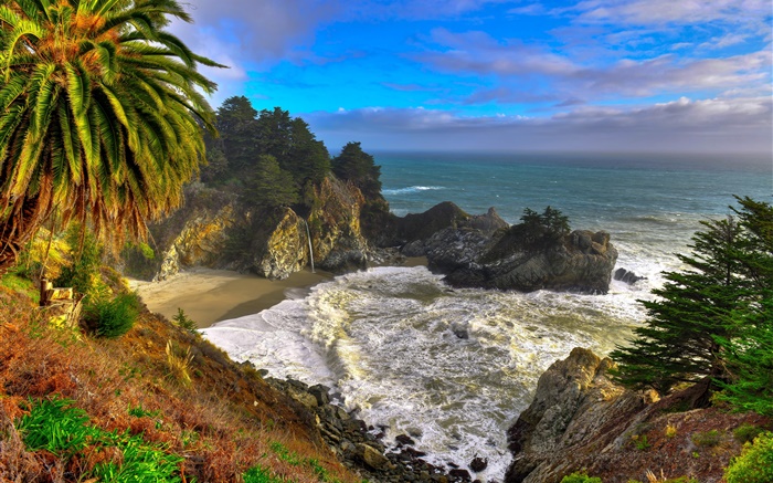 California, USA, Palma, coast, sea, trees Wallpapers Pictures Photos Images