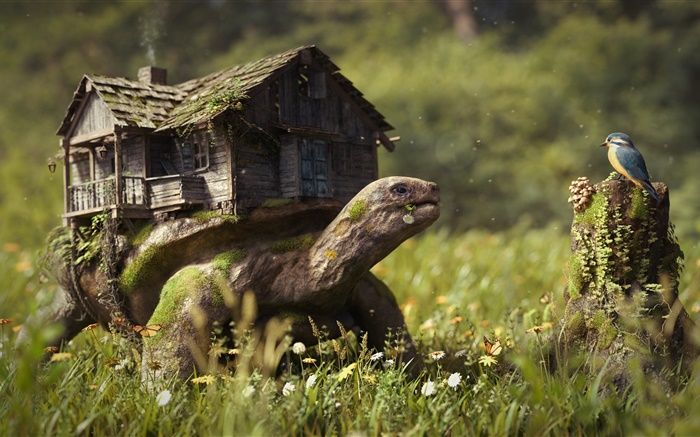 Creative pictures, turtle, house, flowers, grass, stump, bird Wallpapers Pictures Photos Images