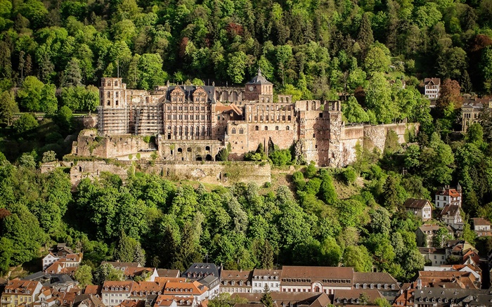 Germany, Heidelberg Castle, trees, houses Wallpapers Pictures Photos Images