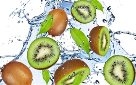 Kiwi, fruit, water drops HD wallpaper