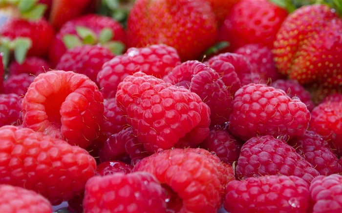 Many red raspberries, fruit macro Wallpapers Pictures Photos Images