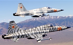 Northrop F-5 freedom fighter, Tiger II HD wallpaper