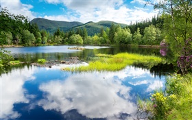 Scotland, Great Britain, greenery, trees, mountains, lake, water reflection