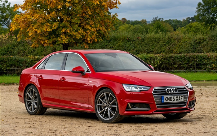 2015 Audi A4 sedan, red car Wallpapers Pictures Photos Images