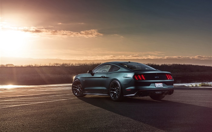 2015 Ford Mustang GT car rear view Wallpapers Pictures Photos Images