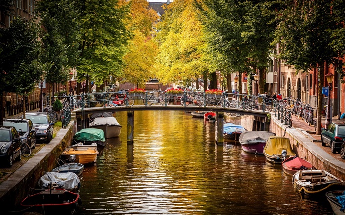 Amsterdam, Netherlands, bridge, river, boats, houses, trees, autumn Wallpapers Pictures Photos Images