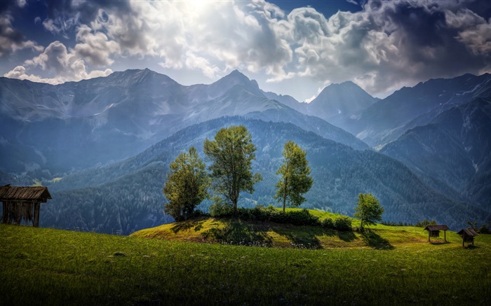 Austria, mountains, trees, clouds, grass Wallpapers Pictures Photos Images