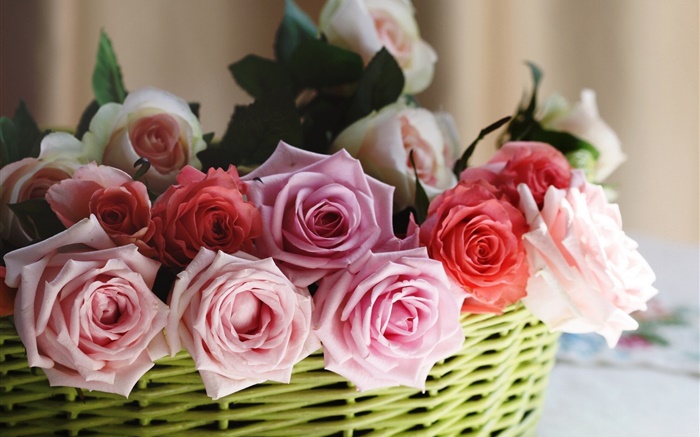 Basket, roses, pink, white, red flowers Wallpapers Pictures Photos Images