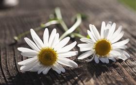 Chamomile, white flowers, wood board
