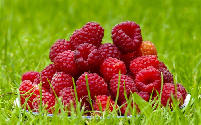Fresh raspberries, red berries, grass, summer Wallpapers Pictures Photos Images