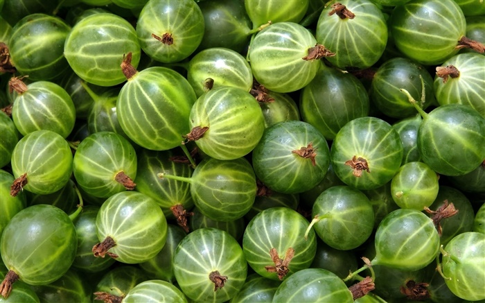 Green gooseberries Wallpapers Pictures Photos Images