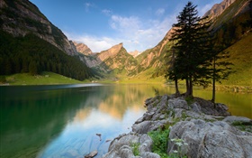 Lake, mountains, trees, stones, summer HD wallpaper