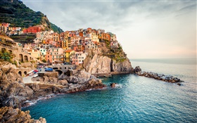 Manarola, Italy, houses, coast, boats, cliff HD wallpaper