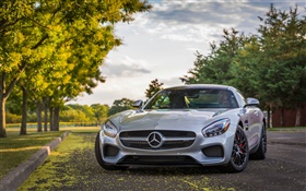 Mercedes-AMG GT S Sports car front view, trees HD wallpaper