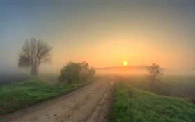 Morning, road, grass, trees, fog, sunrise