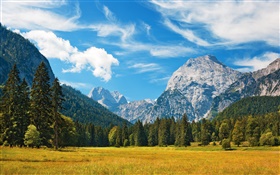 Mountains, trees, clouds, grass, autumn HD wallpaper