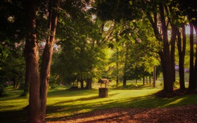Park, grass, trees, sun rays, summer HD wallpaper