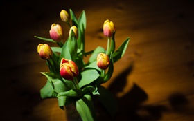 Red yellow petals, flowers, tulips HD wallpaper