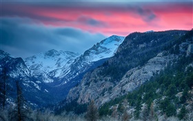Rocky Mountain National Park, Colorado, USA, mountains, trees HD wallpaper