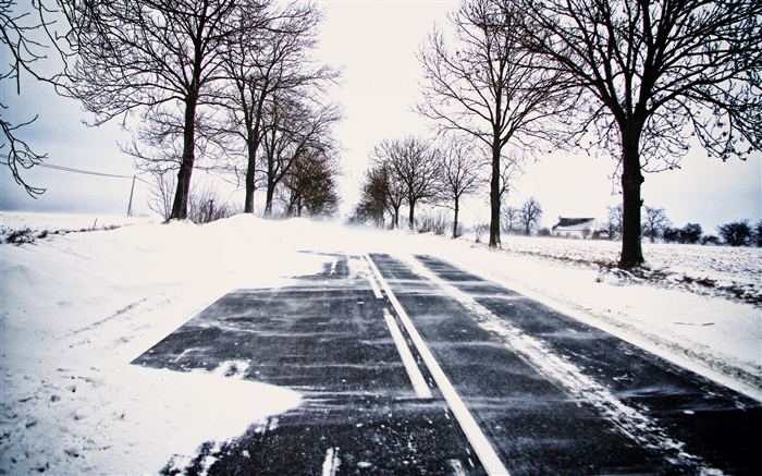 Snow, winter, road, trees, power lines, house Wallpapers Pictures Photos Images