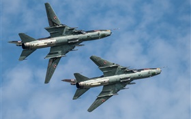 Su-22 Fighter, bomber, flight, sky HD wallpaper