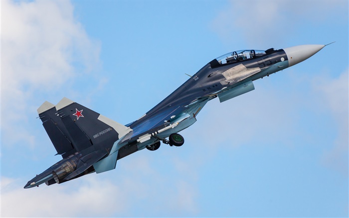 Su-30CM multipurpose fighter Wallpapers Pictures Photos Images