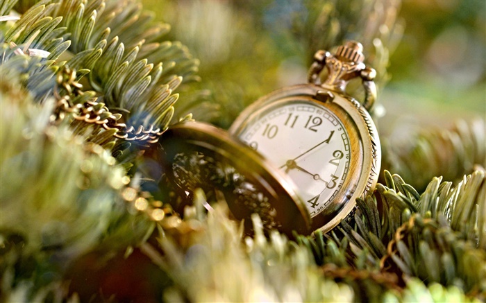 Time dial, watch, leaves, twigs Wallpapers Pictures Photos Images