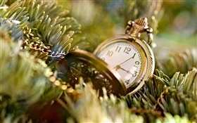 Time dial, watch, leaves, twigs HD wallpaper