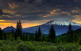 USA, California, mountains, trees, clouds, dusk HD wallpaper