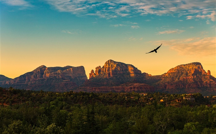 United States, Arizona, mountains, sunset, birds flying, village, dusk Wallpapers Pictures Photos Images