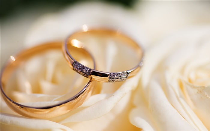 Wedding rings, rose petals Wallpapers Pictures Photos Images