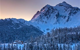 Winter, snow, mountain, trees, dusk HD wallpaper