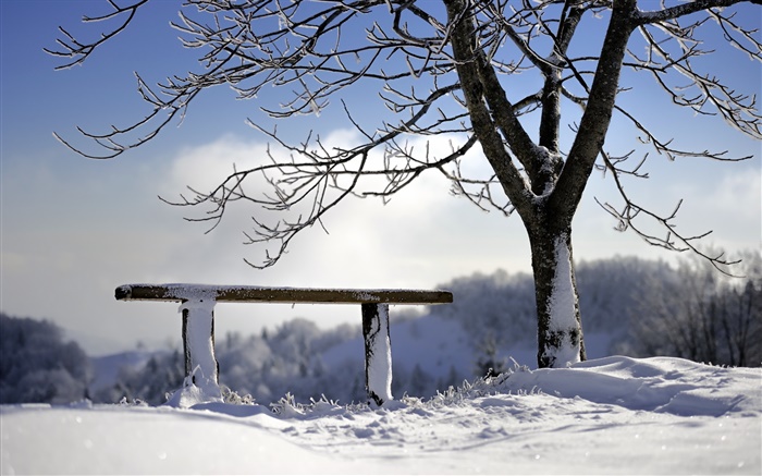 Winter, snow, tree, bench Wallpapers Pictures Photos Images