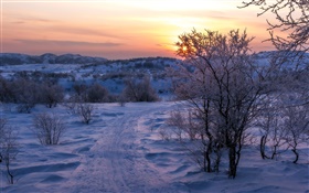 Winter, snow, trees, sunset, road
