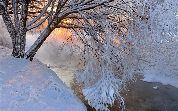 Winter, thick snow, tree, twigs, river, sunset Wallpapers Pictures Photos Images