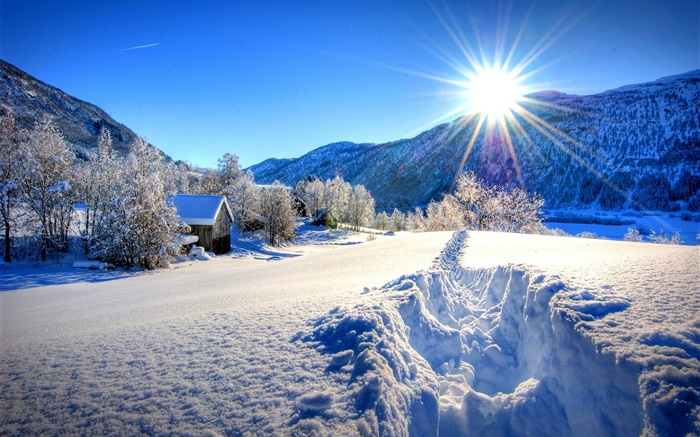 Winter, thick snow, trees, house, sun Wallpapers Pictures Photos Images