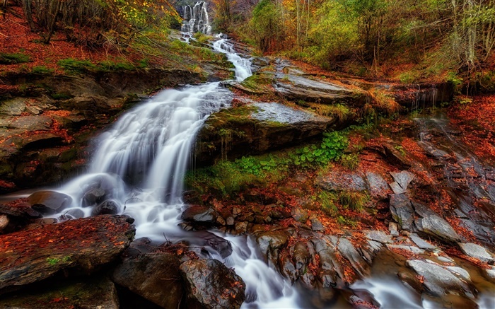 Autumn, forest, river, stream, waterfalls, leaves Wallpapers Pictures Photos Images