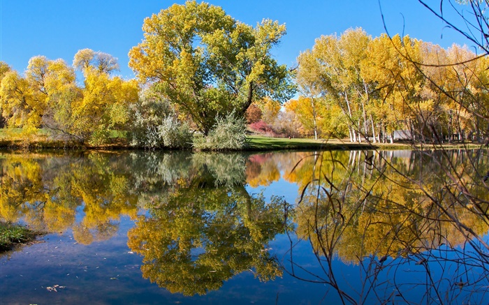 Autumn, pond, lake, park, trees, water reflection Wallpapers Pictures Photos Images
