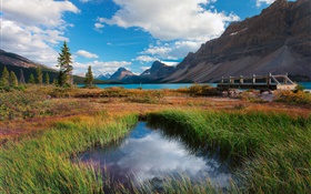 Banff National Park, Alberta, Canada, lake, mountains, grass, clouds HD wallpaper
