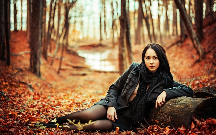 Black hair girl in the forest, autumn, yellow leaves Wallpapers Pictures Photos Images