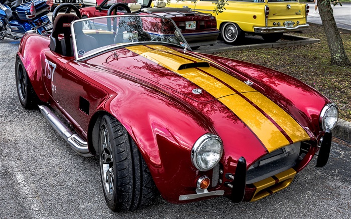 Cobra classic car front view Wallpapers Pictures Photos Images