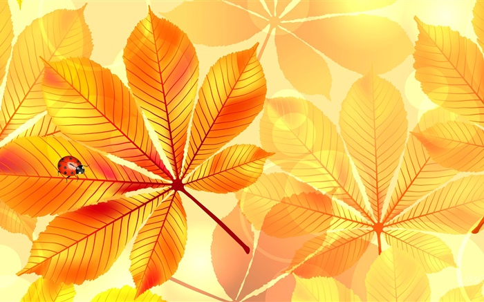 Design pictures, yellow leaves, insect, ladybug, collage Wallpapers Pictures Photos Images